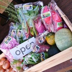 季節の食材をふんだんに用いた料理をお愉しみ下さい。