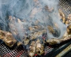 昼呑みから本格焼鳥を楽しめる！