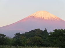 富士山の恵み♪