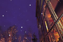 サロット・デ・カナ 