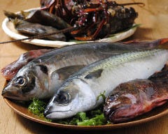個室×産直鮮魚 宏二郎丸 川崎本店 