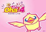 おはよんoha!4news live  日テレ