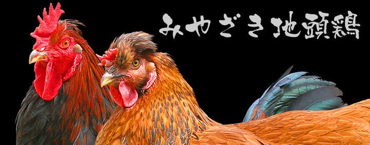鳥鳥 古市店