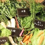 100％無農薬BiO野菜【相模原】