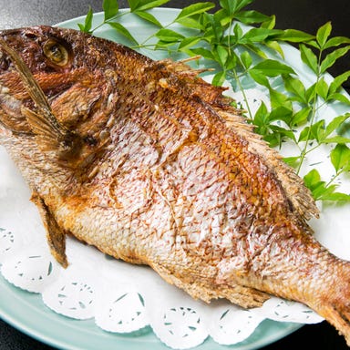 日本料理 魚はま 三鷹 メニューの画像