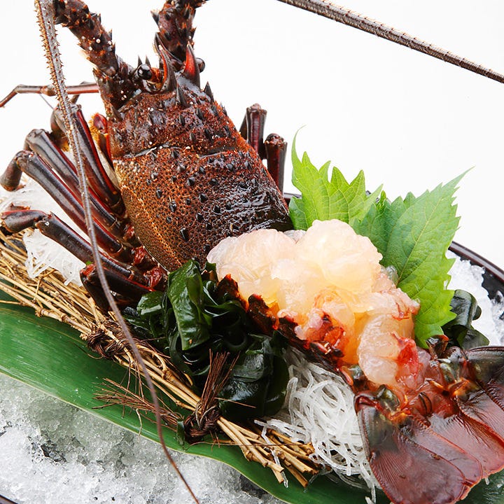 一番人気 伊勢海老刺身や十勝豚炭火焼等 聖 Hijiri コース 2時間飲放 全8品5000円 4000円の詳細 夜景個室居酒屋 雅邸 品川 品川 居酒屋 ぐるなび