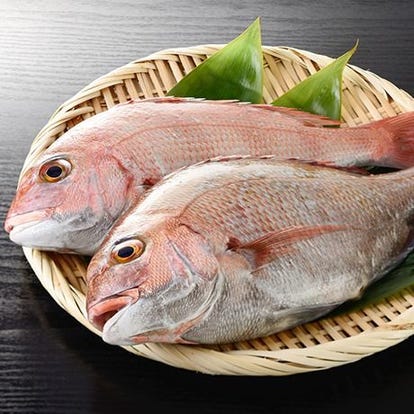 駅近グルメが見つかる 河内長野駅周辺の食事 ディナーでおすすめしたい人気レストラン ぐるなび