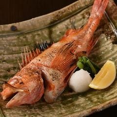 全席扉付き完全個室 3時間飲み放題 寿司居酒屋魚縁 上野店