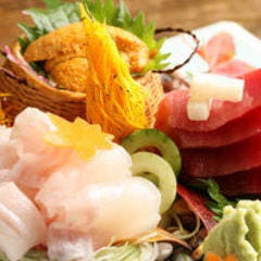 その日一番の"魚"を美しく
