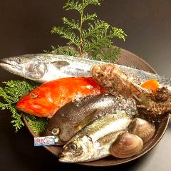 『日替わり鮮魚』は当店SNSにて随時更新中です
