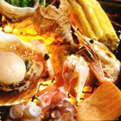 北の海手箱 風 （ふう） 