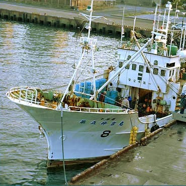 築地 魚一 こだわりの画像