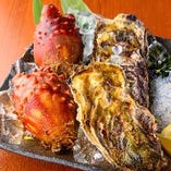 三陸で大きく育った三陸産の大きな『牡蠣とホヤ』【宮城県石巻市】