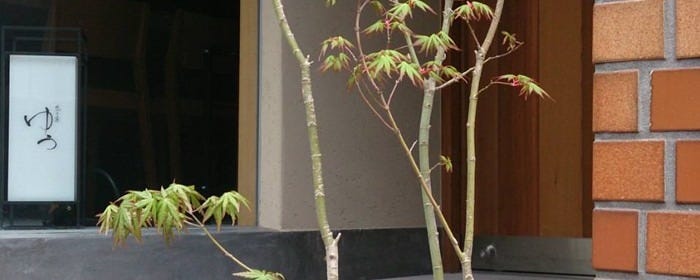 代々木上原 ゆう