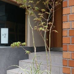 代々木上原 ゆう