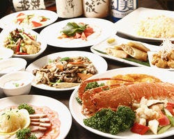 梶ヶ谷 楽山 溝の口 中華料理 ぐるなび