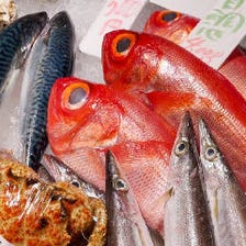 名古屋で魚がうまくて安くて楽しい店