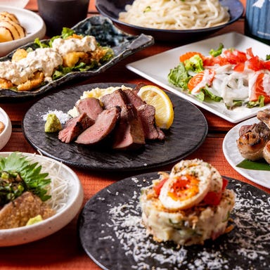 隠れ家個室居酒屋 B102号室 溝の口店_【日~木限定!】ライトプラン♪全7品と2時間スタンダード飲み放題付き!