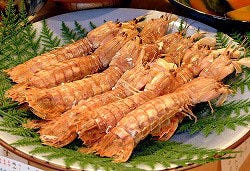 せとうち 神田 郷土料理 ぐるなび