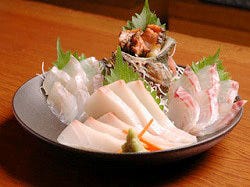 せとうち 神田 郷土料理 ぐるなび