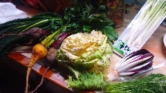 西船橋石井農園のカラフル野菜