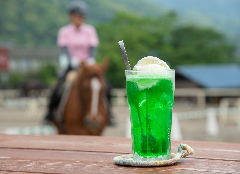 天城ホースビレッジ 馬カフェ