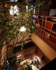 だいにんぐばぁべったこ 本店