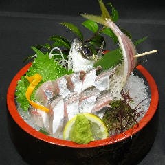 ざうお 亀戸駅前店 メニュー 釣り ぐるなび