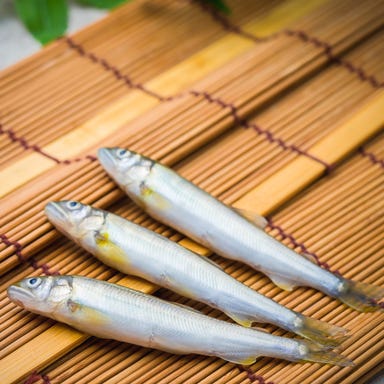 新宿つな八 大丸東京店_【4/7(火)から5/31(日)まで】薫風膳 ◆6,600円