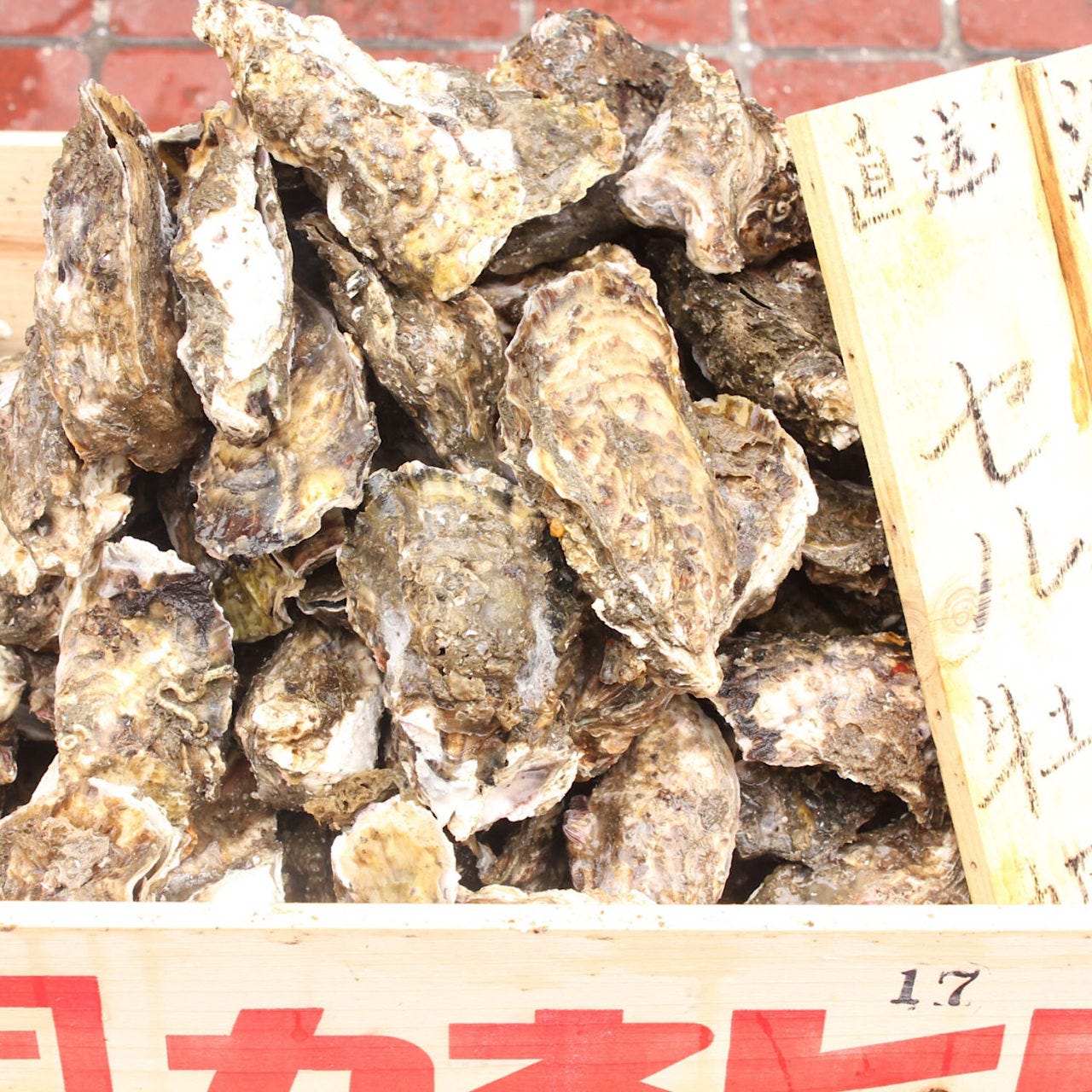 鮮魚浜焼きセンター なご八 日比野店 漁港直送 浜焼きbbq