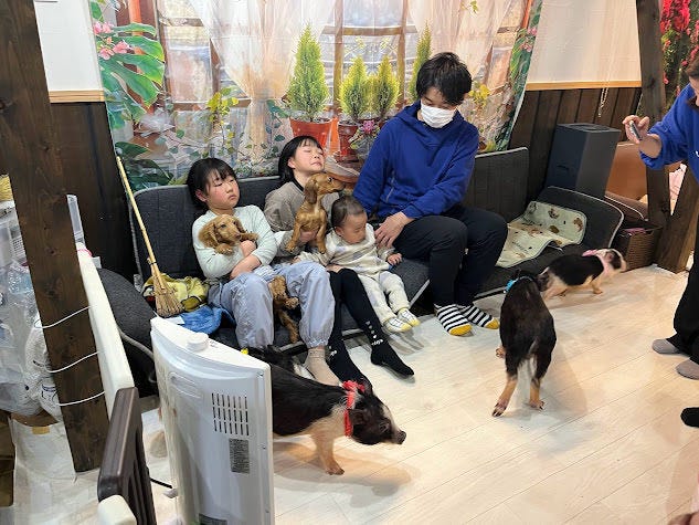 マイクロぶたカフェ京都