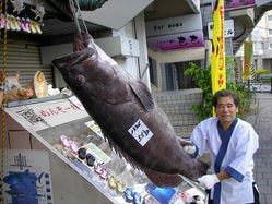 沖縄近海魚 琉球料理 ちゅらさん亭 那覇 沖縄料理 ぐるなび