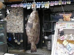沖縄近海魚 琉球料理 ちゅらさん亭 