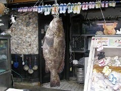 沖縄近海魚 琉球料理 ちゅらさん亭