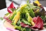 鎌倉野菜のフレッシュサラダ