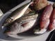 ◆小坪漁港新鮮な鮮魚◆毎朝仕入れる鮮魚はどれも鮮度抜群です♪