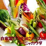 三浦産直野菜と自家製ソースのバーニャカウダ