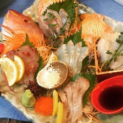 珍魚刺し盛りで【各480円】こだわりの食材をリーズナブルに!