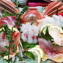 オニカサゴ刺、ハタ刺し、カマス刺、ヤガラ刺、カワハギ刺、コチ