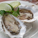 Fresh Oyster of the Day