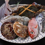 【鮮度抜群】
泉佐野漁港に近く、魚は店主自ら毎日買い付け
