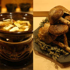 茂松