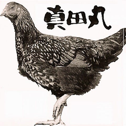 炭火焼鳥 山鶏 赤坂店