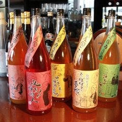 柚子や蜂蜜など多彩な味わいの梅酒もぜひ飲みくらべてみて！