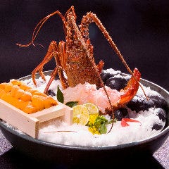 博多 表邸_伊勢海老の姿造り
