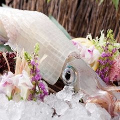 赤坂で完全個室があるレストラン 居酒屋 飲食店 赤坂で完全個室があるレストラン 居酒屋 飲食店