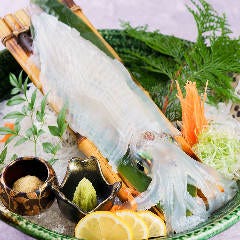 博多 表邸_全コース博多(九州)名物の追加承ります！
一番人気は『呼子直送 烏賊の活造り』。お好み追加で博多を満喫