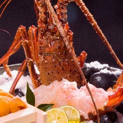 博多 表邸_鯛や伊勢海老を豪華な姿造りで提供！祝いの席や接待におすすめ