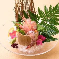 博多 表邸_活き車海老のお造り