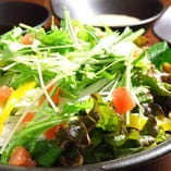 新鮮野菜のグリーンサラダ